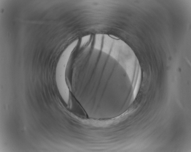 X0000061140048200512161541