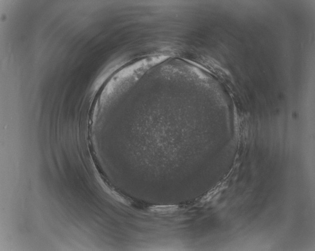 X0000061140051200512161540