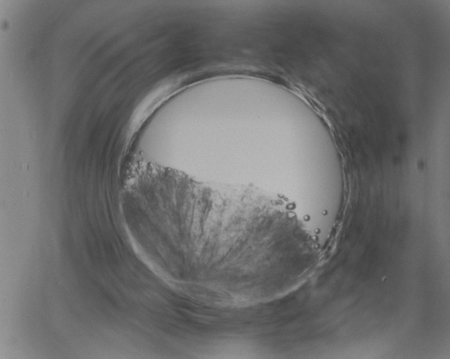 X0000061140053200512161540