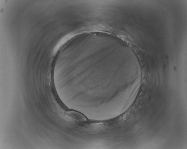 X0000061140054200512161540