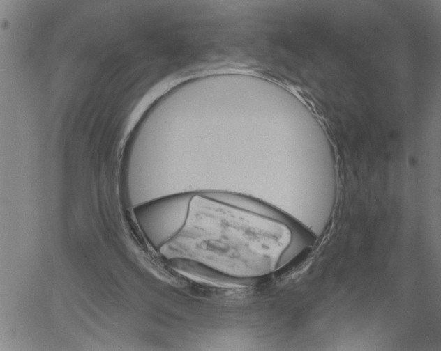 X0000061140056200512161540