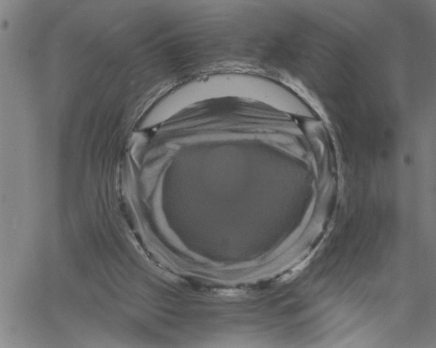 X0000061140057200512161540