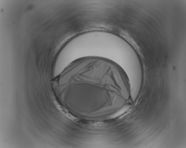 X0000061140058200512161540