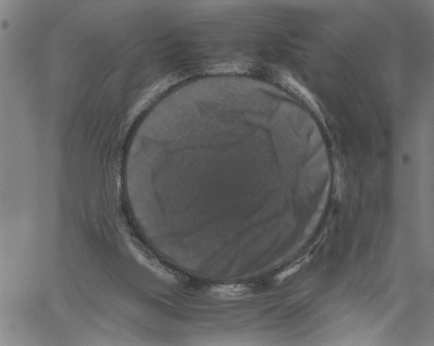 X0000061140059200512161540