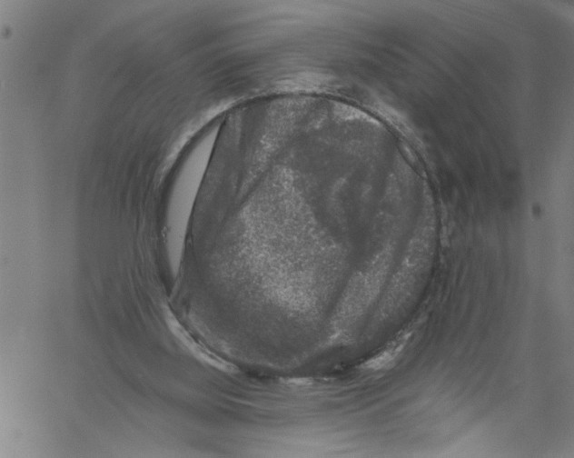 X0000061140060200512161540