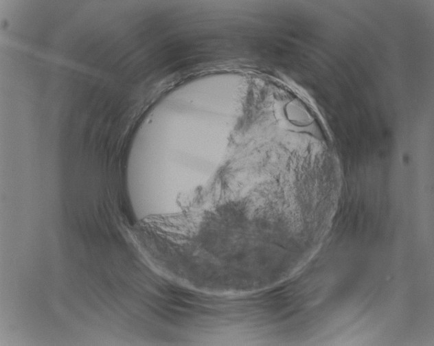 X0000061140061200512161540