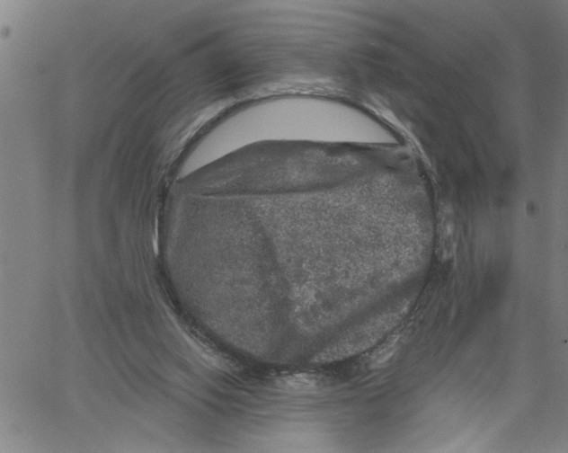 X0000061140062200512161540