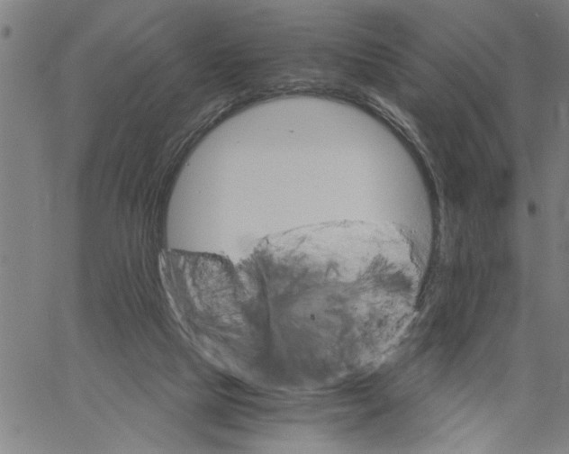 X0000061140065200512161540