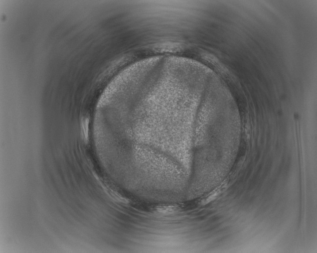 X0000061140070200512161541