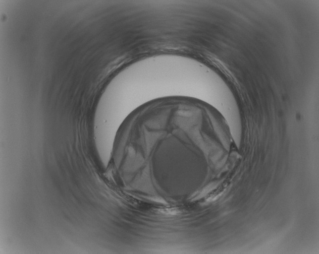 X0000061140071200512161541