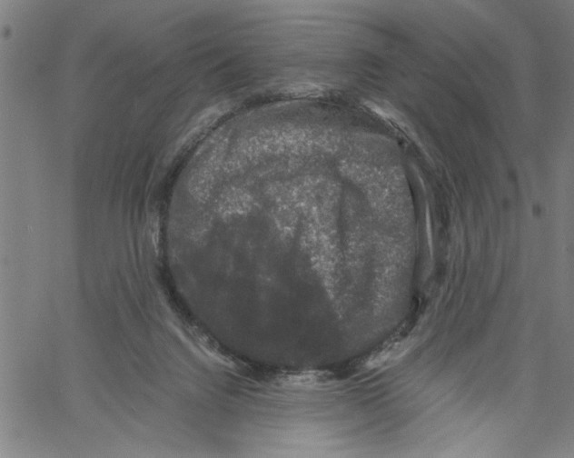 X0000061140072200512161541