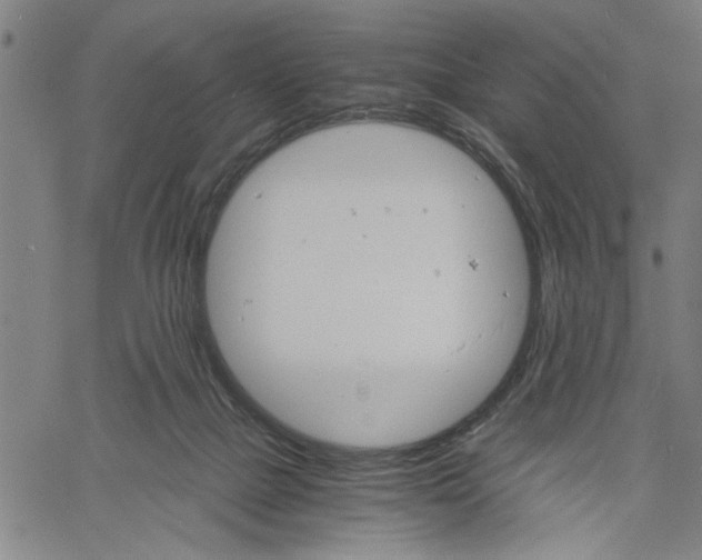 X0000061140073200512161541