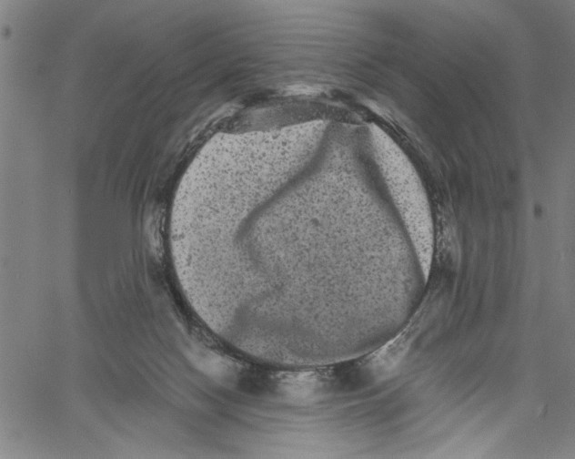 X0000061140074200512161541