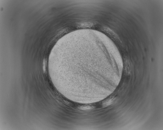 X0000061140075200512161541