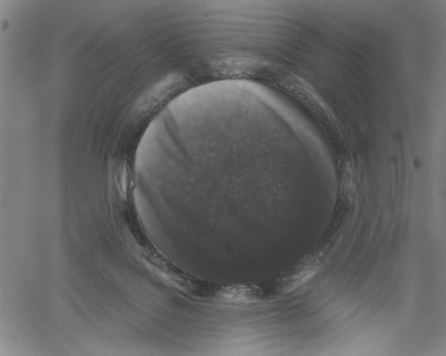 X0000061140076200512161541