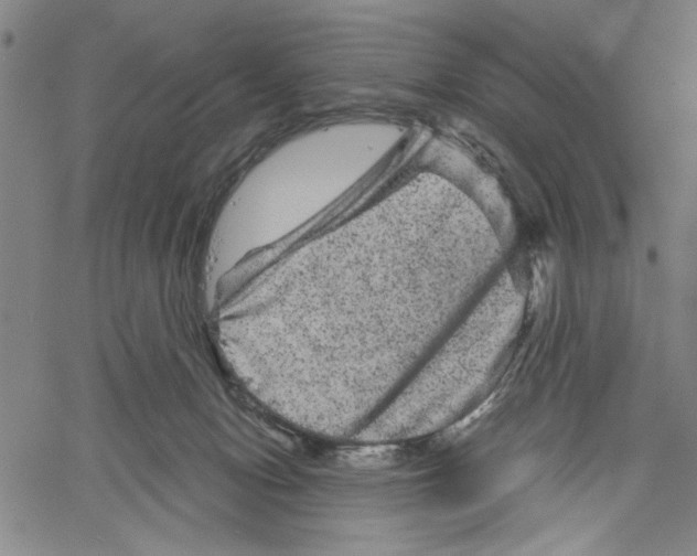 X0000061140078200512161541