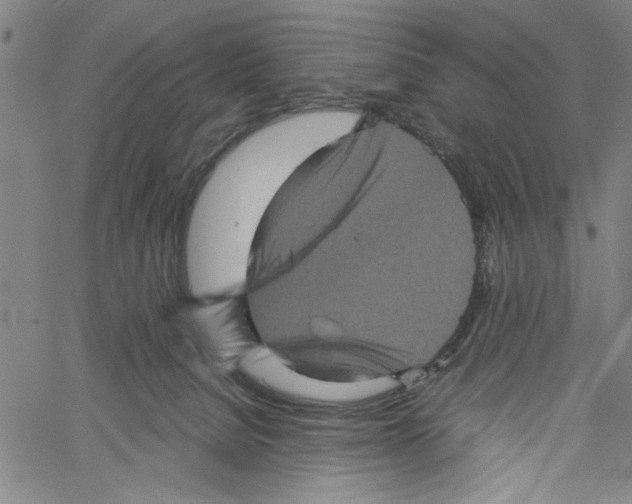 X0000061140080200512161541