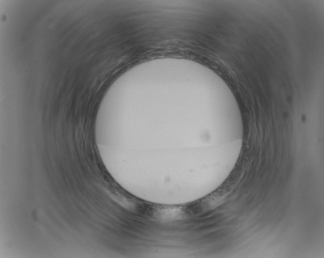 X0000061140081200512161541