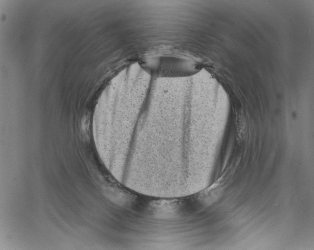 X0000061140082200512161541