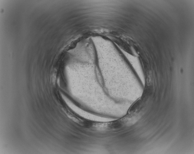 X0000061140084200512161541