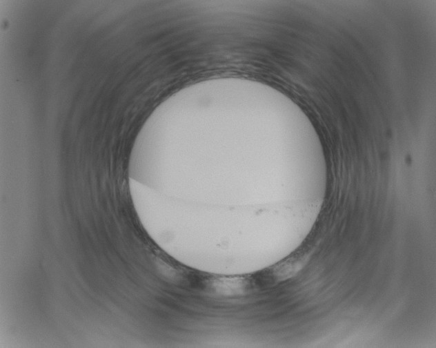 X0000061140085200512161541