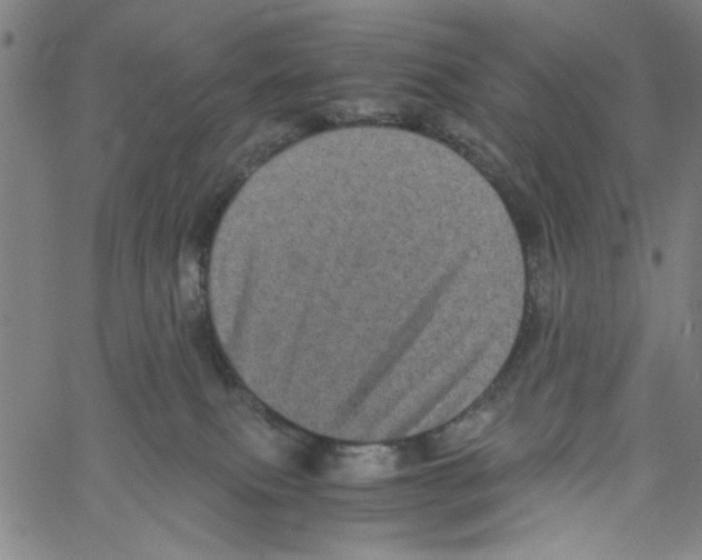 X0000061140087200512161541