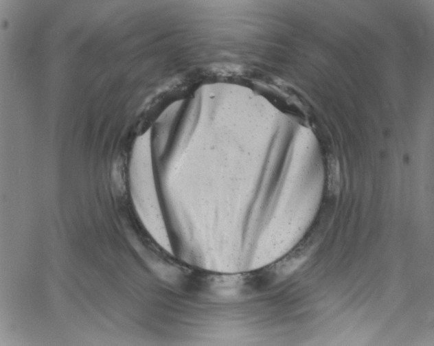 X0000061140088200512161541