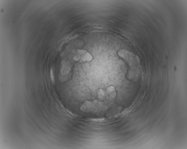 X0000061140089200512161541