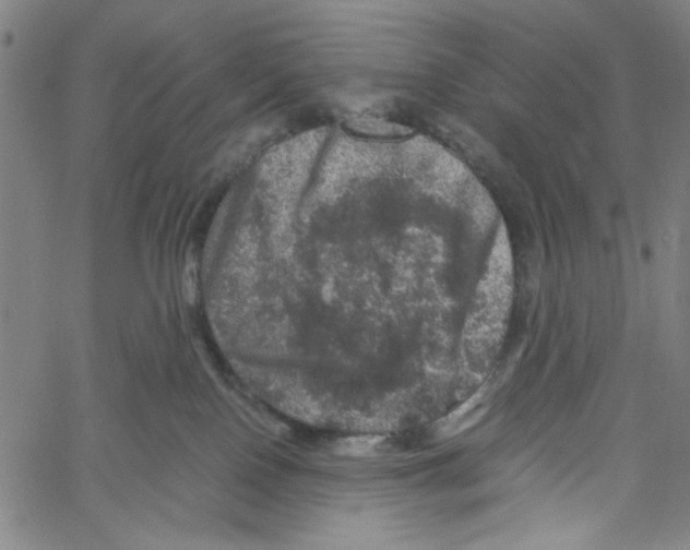 X0000061140090200512161541