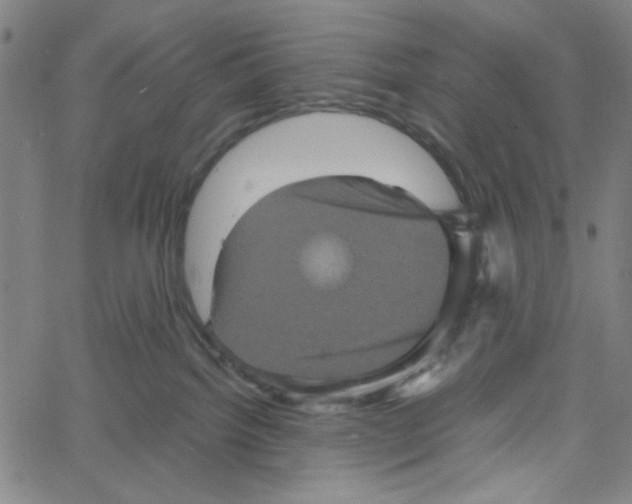 X0000061140092200512161541