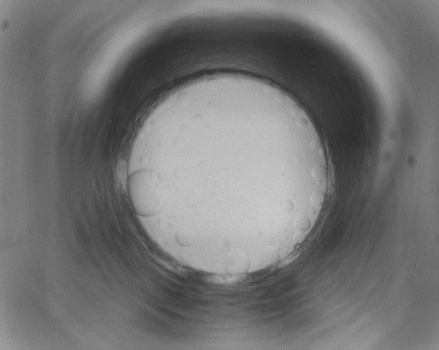 X0000061140093200512161541