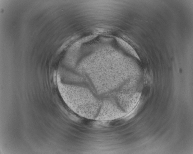 X0000061140094200512161541