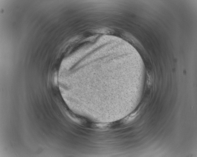 X0000061140095200512161541