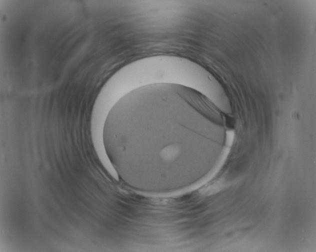 X0000061140096200512161541