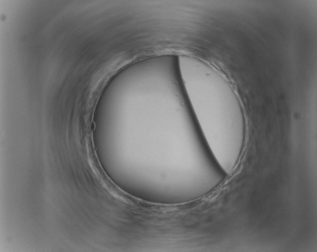 X0000061140097200512161540