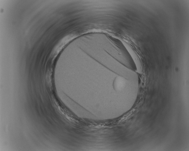 X0000061140098200512161540