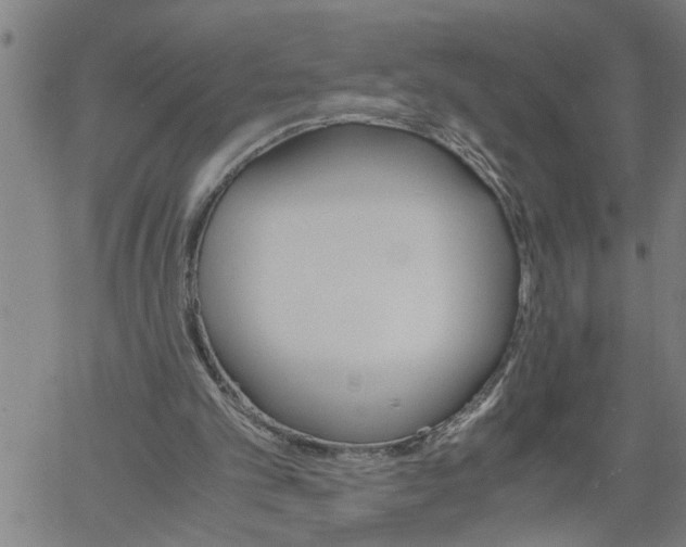 X0000061140101200512161540