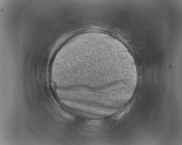 X0000061140102200512161540