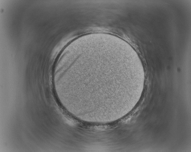 X0000061140103200512161540