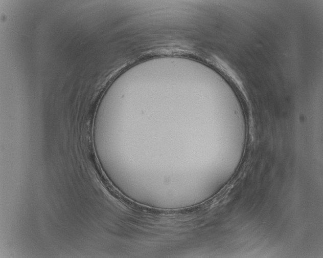 X0000061140105200512161540