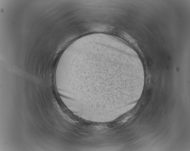 X0000061140106200512161540