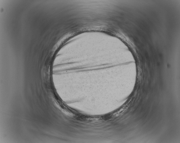 X0000061140107200512161540