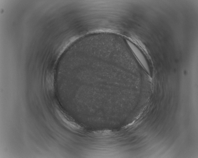 X0000061140108200512161540