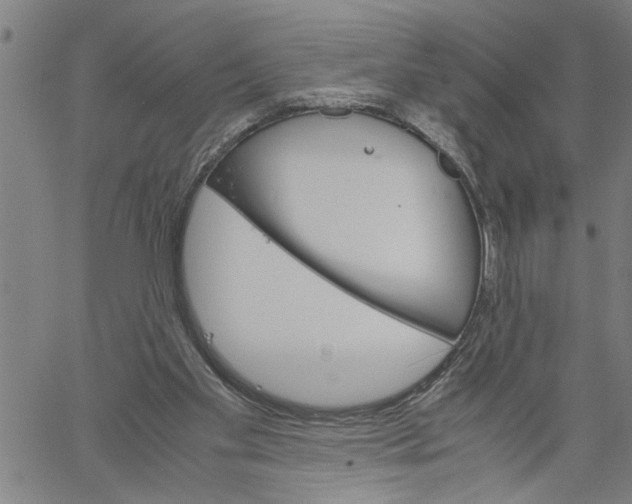 X0000061140109200512161540