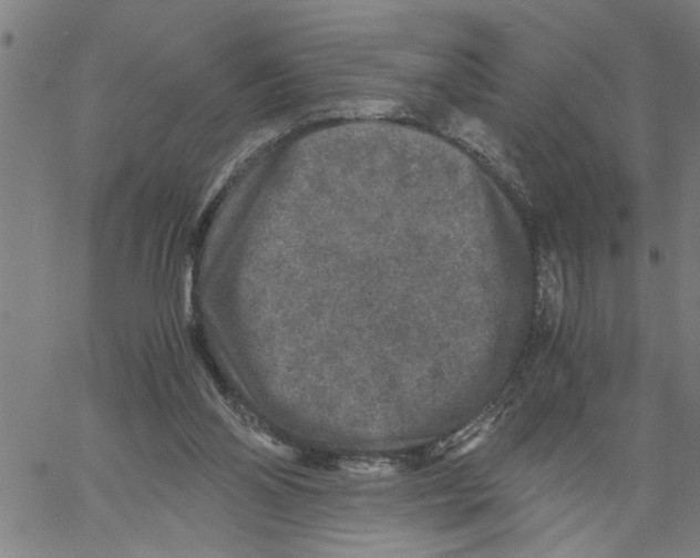 X0000061140110200512161540