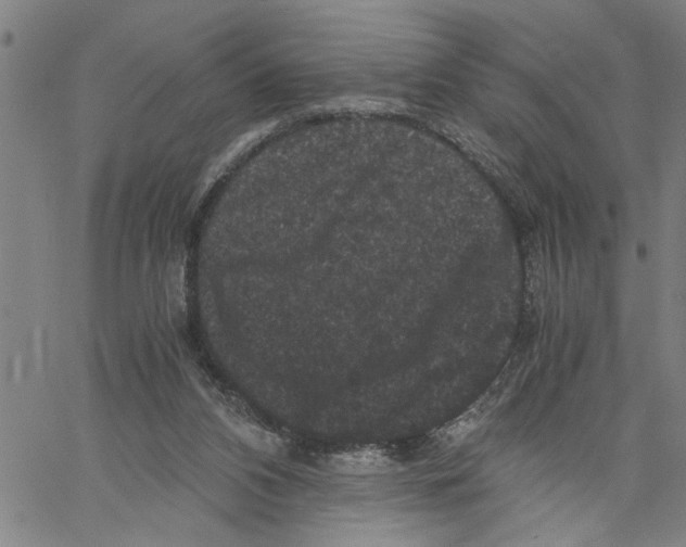 X0000061140112200512161540