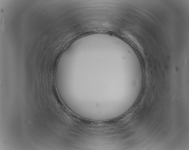 X0000061140113200512161540