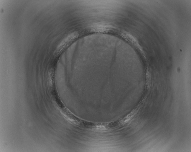 X0000061140114200512161540