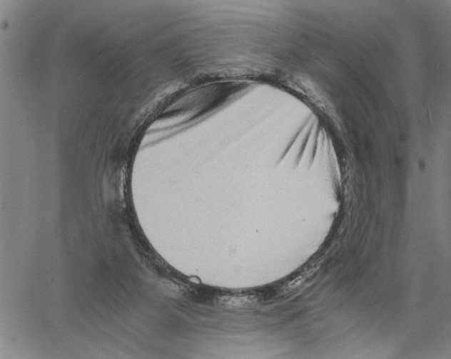 X0000061140115200512161540