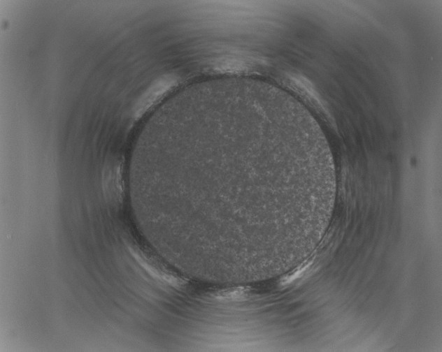 X0000061140116200512161540